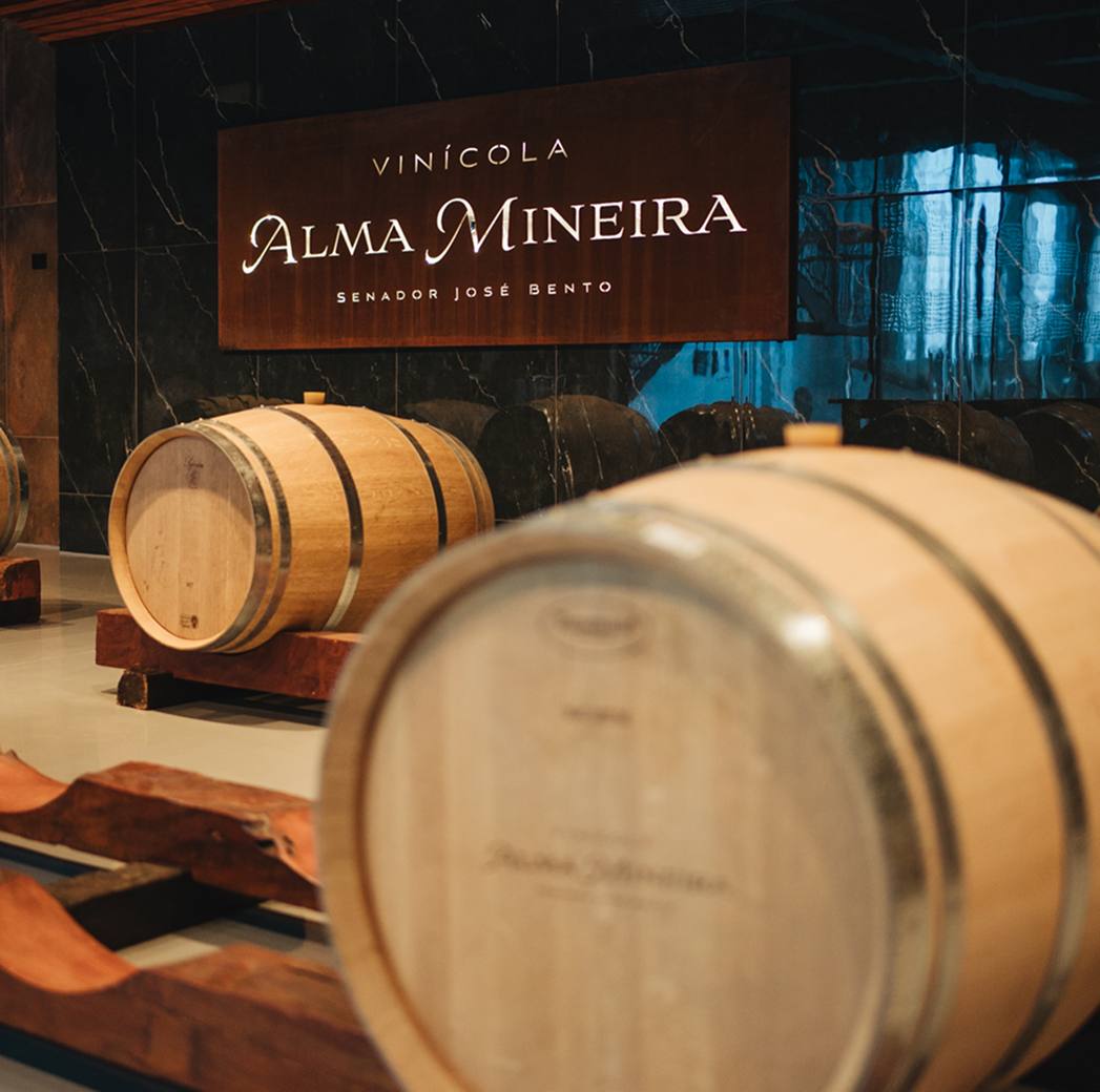 Vindima no Sul de Minas